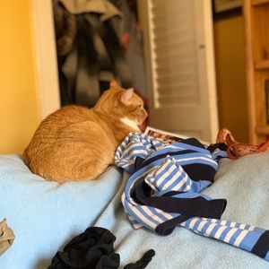 Meet your Posher, Alexa